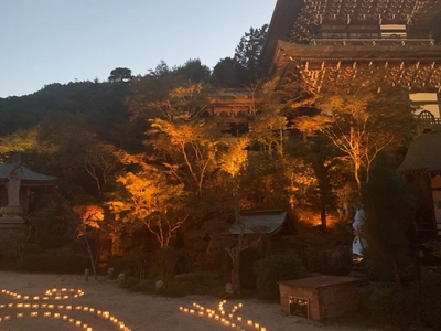 大聖院　ライトアップ