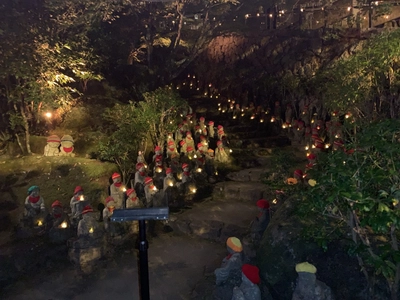 大聖院　ライトアップ